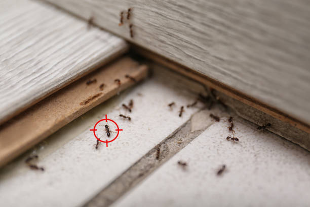 Best Mosquito Control Services  in La Crosse, KS