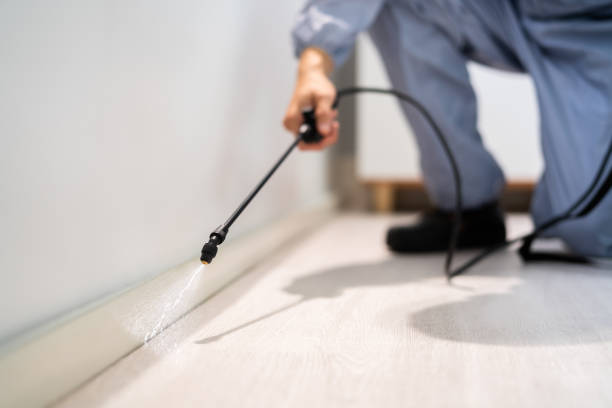 Best Best Pest Control Companies  in La Crosse, KS