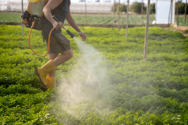 Best Pest Removal Services  in La Crosse, KS