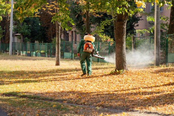 Best Pest Control Near Me  in La Crosse, KS